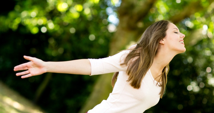 Nullam dictum felis eu pede mollis pretium.